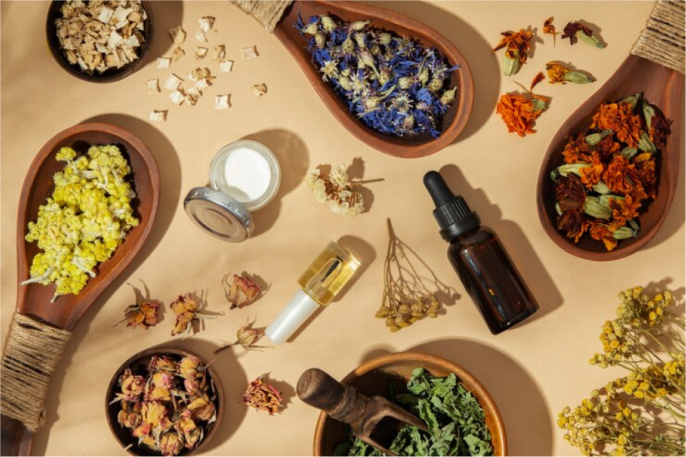 Fitoterapia- Saiba o que nutricionistas podem e não podem prescrever